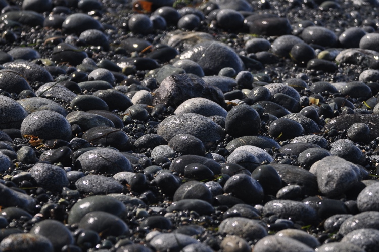 rocks on beach